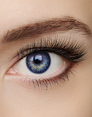 Rehaussement et teinture des cils